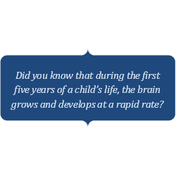 Did you know that during the first five years of a child's life, the brain grows and develops at a rapid rate?