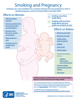 Programs That Help Pregnant Women Florida