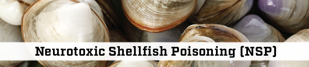 image of chellfish with the text Neurotoxic Shellfish Poisoning (NSP)