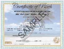 Commemorative Certificates Florida Department Of Health