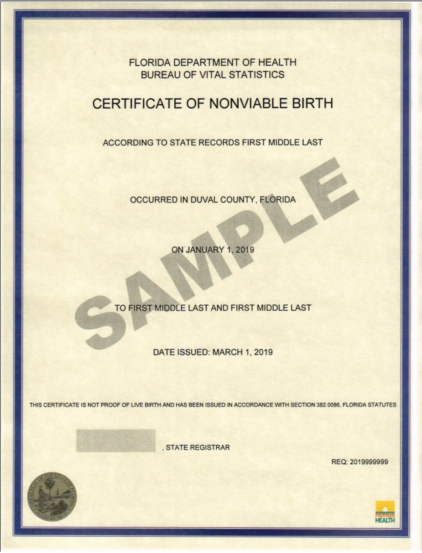 Nonviable Birth Florida Department Of Health
