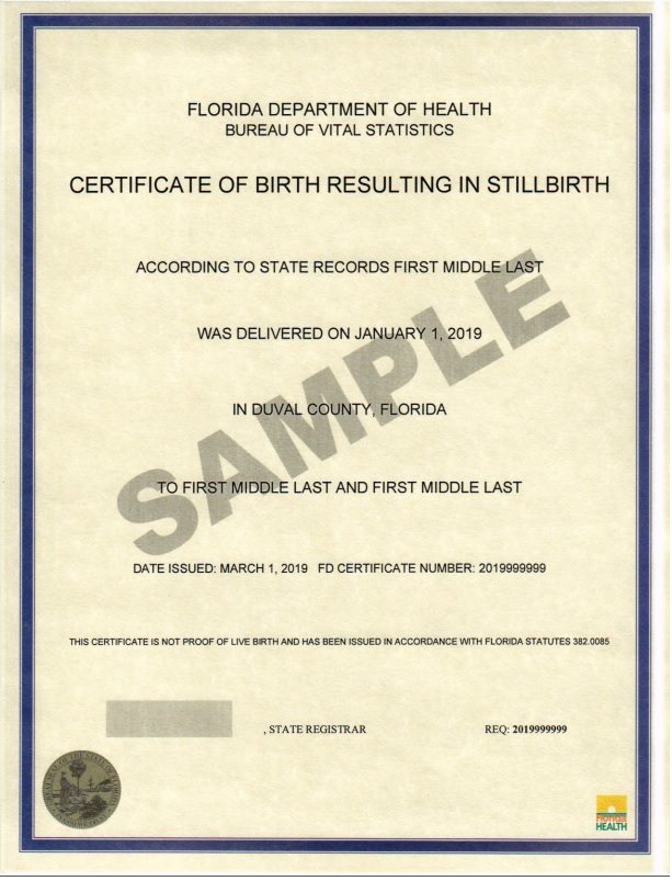 Birth Resulting In Stillbirth Florida Department Of Health