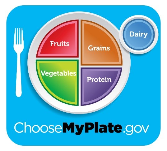 blue, plate, fruits, vegetables, protein, dairy, grains, folk, cup