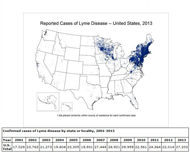 Lyme Disease Florida Department Of Health