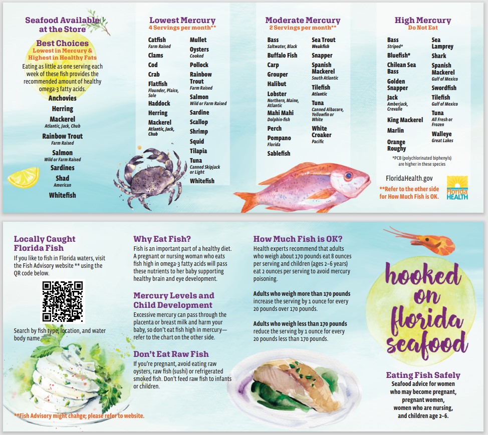 Hooked on Florida Seafood Wallet Card
