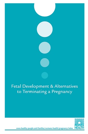 Fetal Development & Alternative to Terminating a Pregnancy Brochure - English