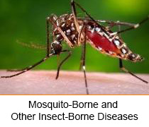 Mosquito-borne diseases