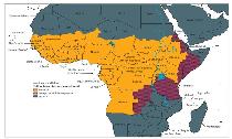 Yellow Fever Transmission in Africa