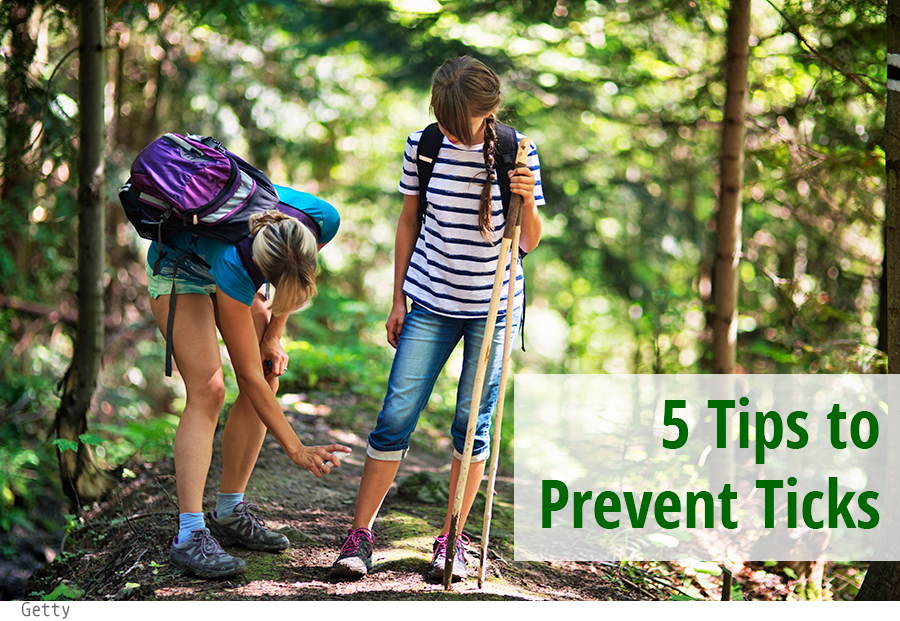 5 tips to prevent ticks getty 877698370
