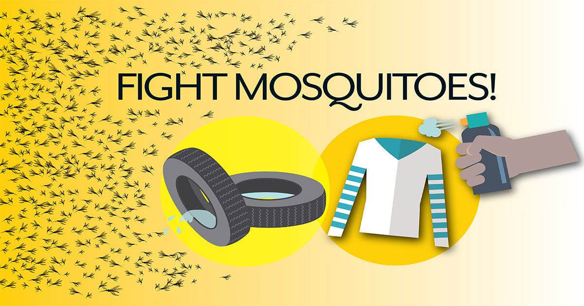 mosquito prevention