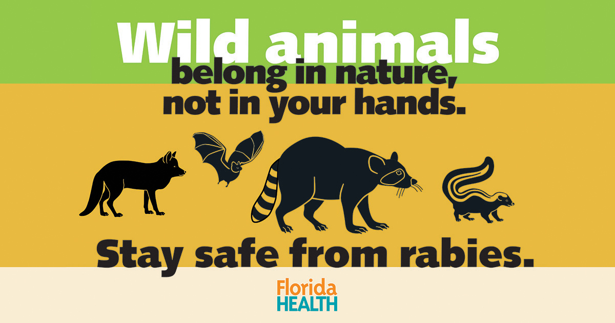 Rabies Prevention Florida Department Of Health