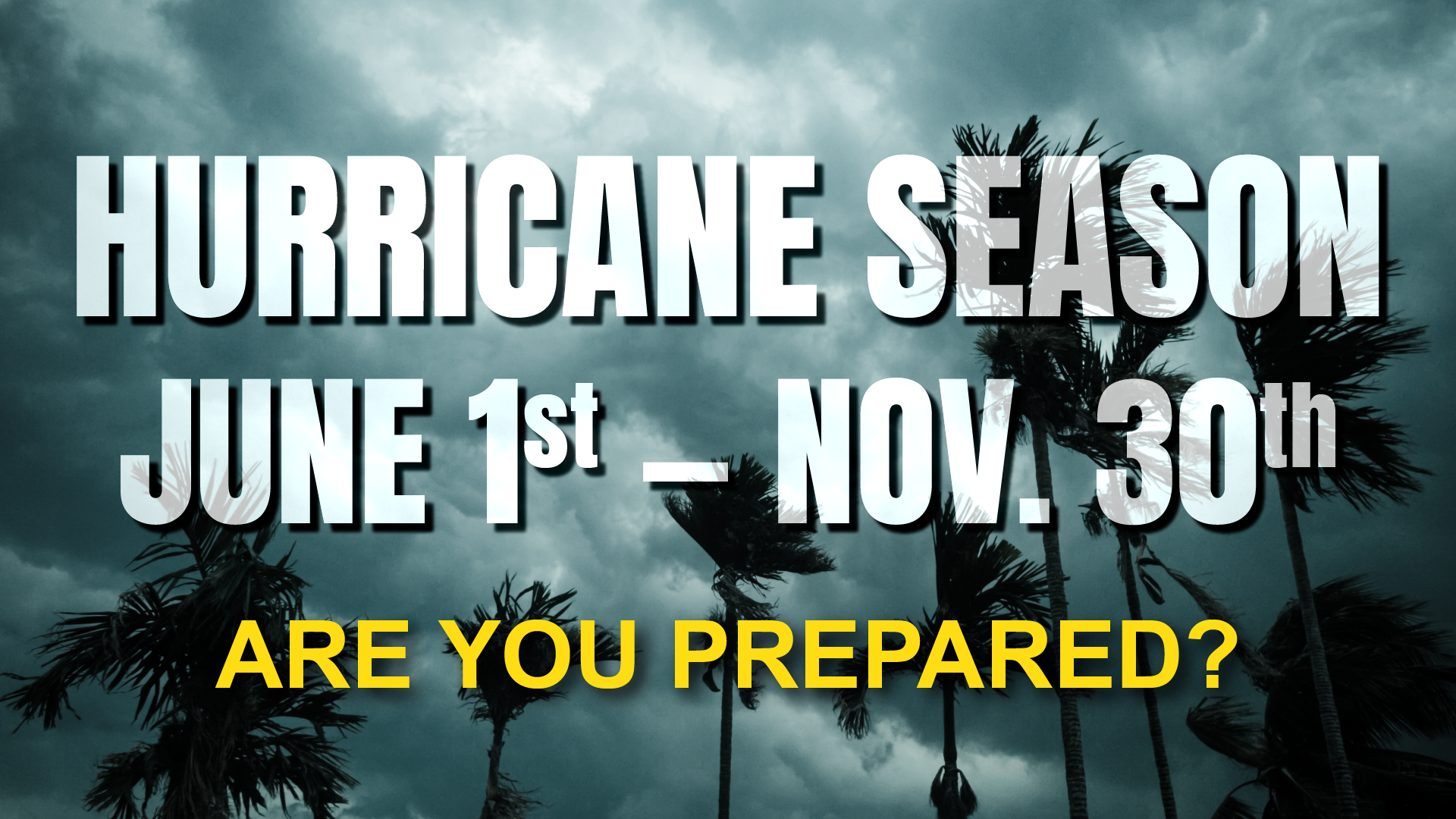 Hurricane Preparedness Kit for The Elderly, Palm Beach