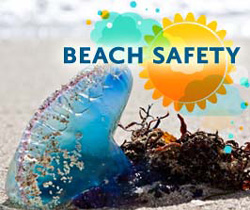 Beach Safety