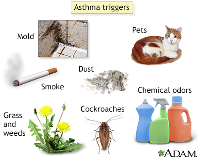 image of common asthma triggers. 