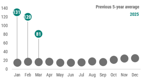 A graph showing a summary of pertussis cases reported by month in 2025 as compared to the previous 5-year average. In March 2025, 81 cases of pertussis were reported, which is above the previous 5-year average.