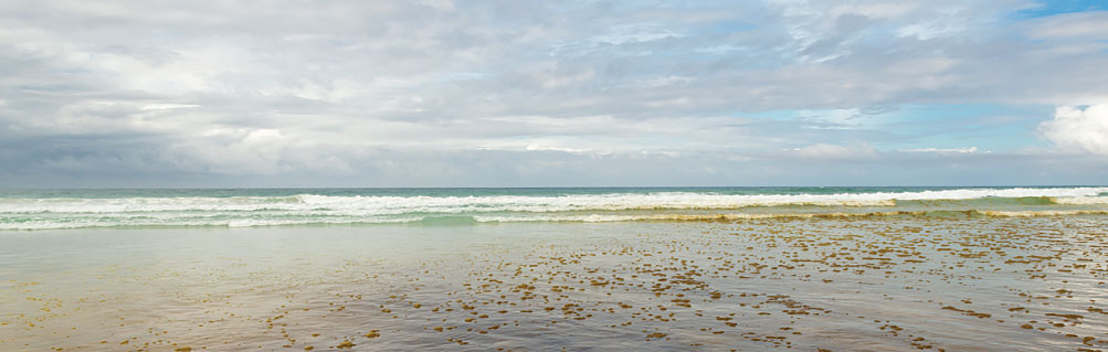 Beach with Seaweed