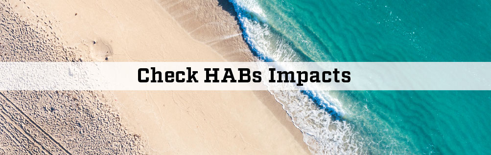 areal image of the beach with the words Updates check HABs Status