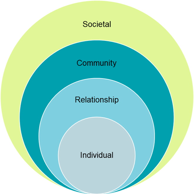 Four overlapping circles representing the four layers of the socioecological model:  individual, relationship, community and societal.