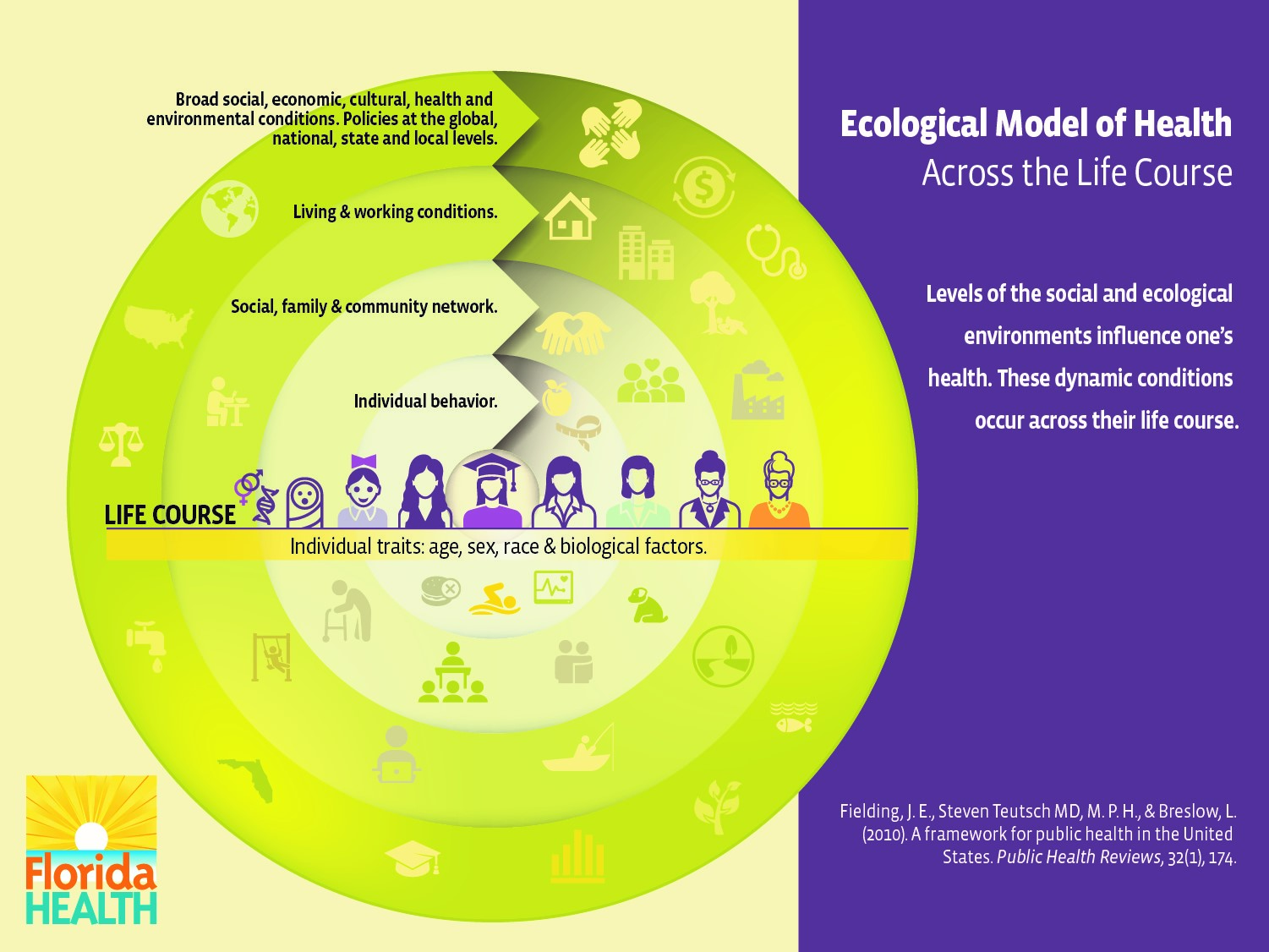 The LCIR Ecological Model