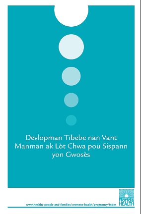Fetal Development & Alternative to Terminating a Pregnancy Brochure - Creole