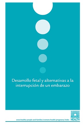 Fetal Development & Alternative to Terminating a Pregnancy Brochure - Spanish