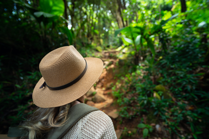 International traveler