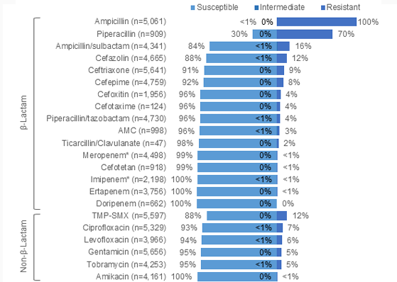 Klebsiella species in 2019 bar graph