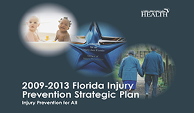 2009-2013 Florida Injury Prevention Strategic Plan cover image