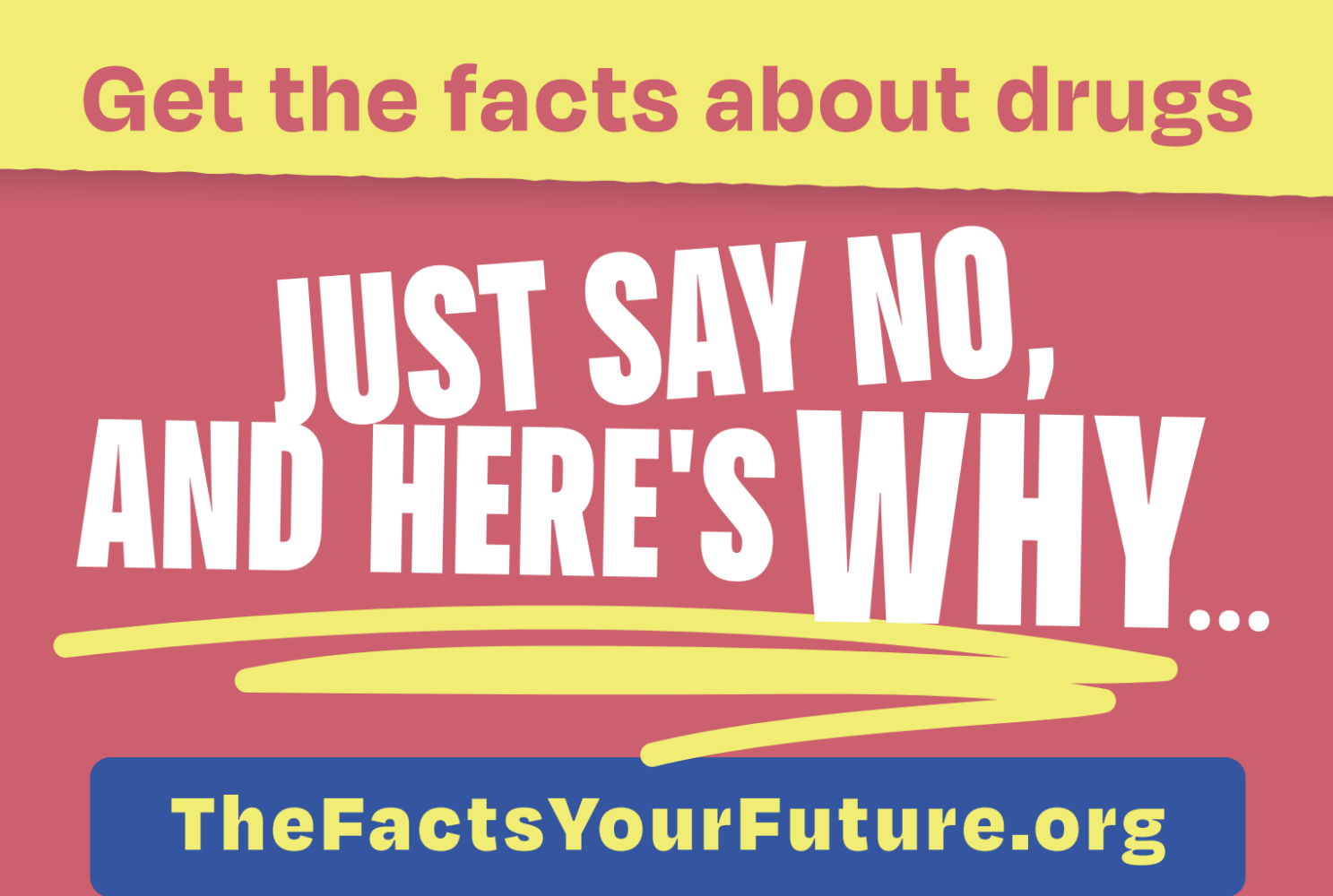 The Facts. Your Future. Get the facts about drugs