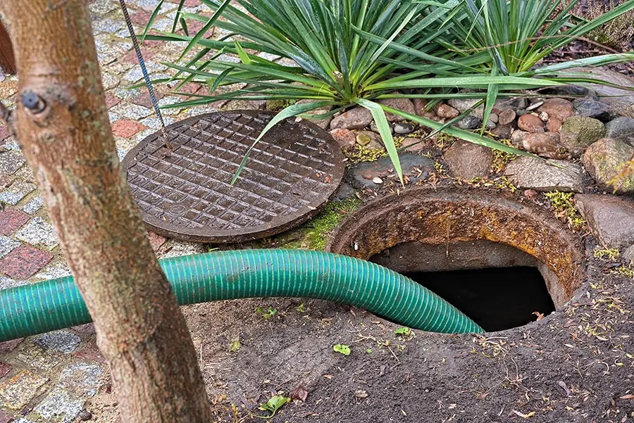 A green hose goes into an open, rusty manhole next to its cast-iron cover, surrounded by soil, rocks, and green plants.