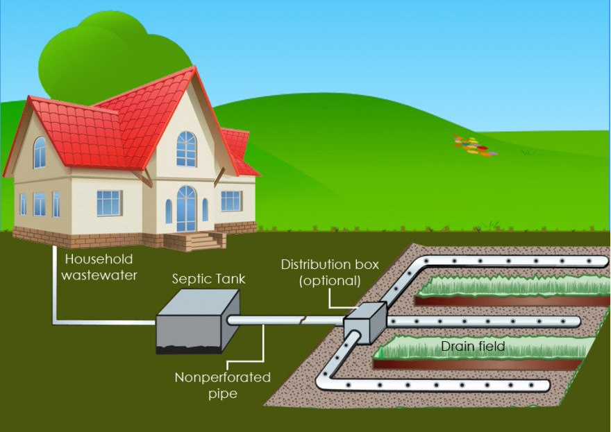Diagram illustrating a household septic system, showing wastewater flowing from a house to a septic tank, then through a distribution box to a drain field.